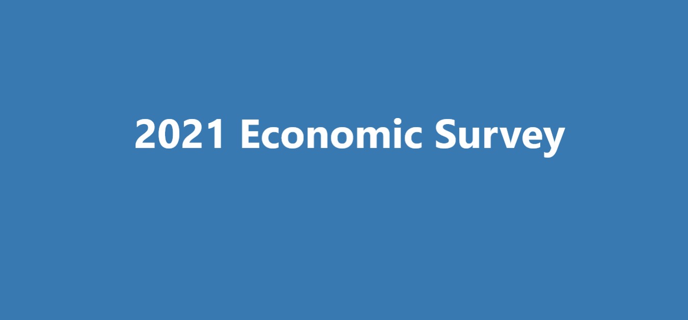 2021 Economic Survey