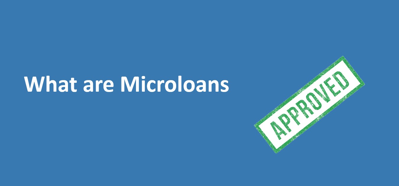 What are Microloans?